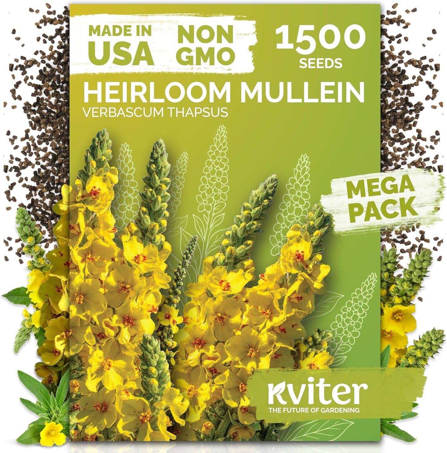 KVITER Mullein Seeds (Verbascum Thapsus) - Non-GMO Organic Heirloom Seeds for Herb Garden - 1,500 Count