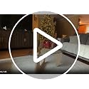 LuckIIA Walnut Glass Coffee Table 32 Inch Mid-Century Modern Farmhouse Style