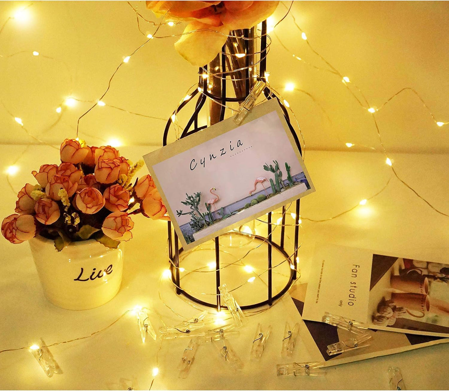 Romote 100 LED Photo Clip String Lights - USB Powered Fairy Lights with 50 Clear Clips for Wedding & Party Decor