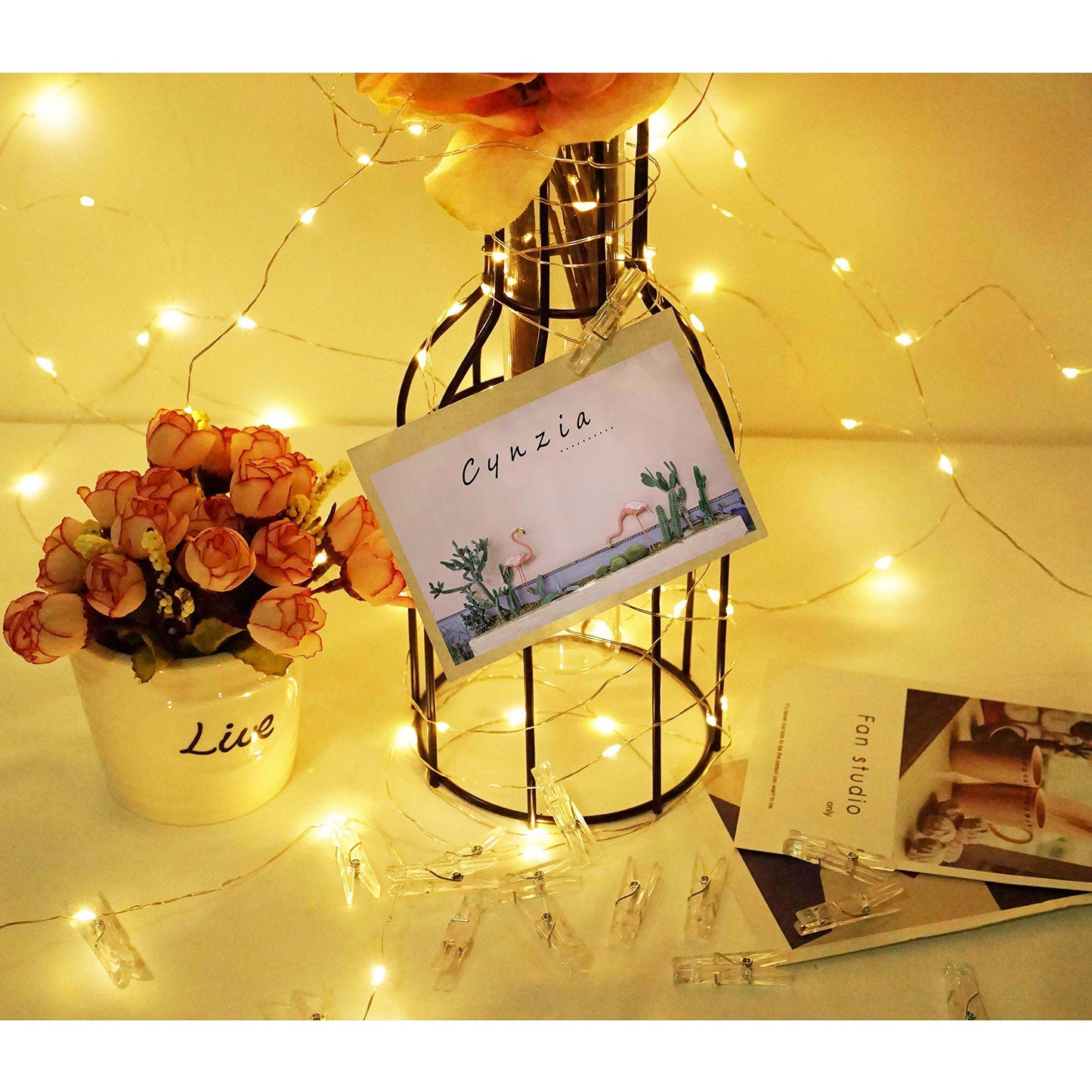 Cynzia Photo Clip String Lights USB Powered with Romote, 100 LED Fairy String Lights with 50 Clear Clips, Silver Wire String Lights for Pictures Hanging Photo Wall Wedding Party Christmas Decor