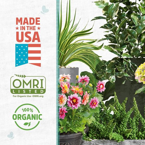 Back to The Roots 100% Organic Perlite - Premium Plant Nutrition for Indoor & Outdoor Use