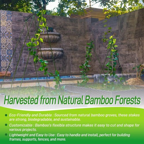 Bamboo Sticks | 50Pcs 3ft Natural Bamboo Poles - Durable Garden Stakes for Indoor & Outdoor Plants