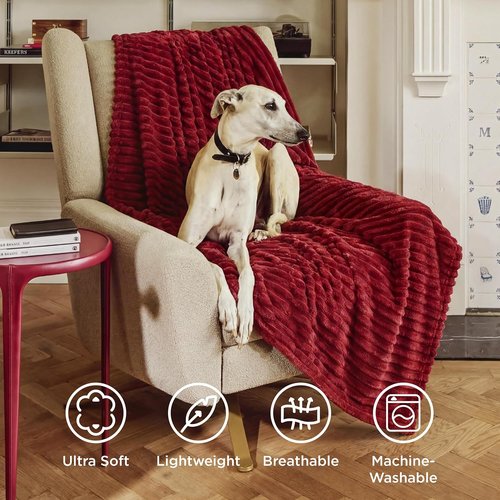 Bedsure GentleSoft Twin Blanket - Cozy Scarlet Sage Throw for Women | Soft, Large 66x90 Inches