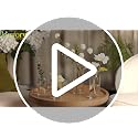 20PCS Clear Glass Bud Vases Set - Small Modern Flower Centerpieces, Wedding Decor
