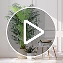 6 Ft Artificial Tropical Palm Tree with 24 Removable Leaves - Faux Indoor Outdoor Plant