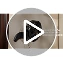 Koonie 8-Inch Wall Mount Fan with Remote, Quiet Oscillating Small Fan - Black