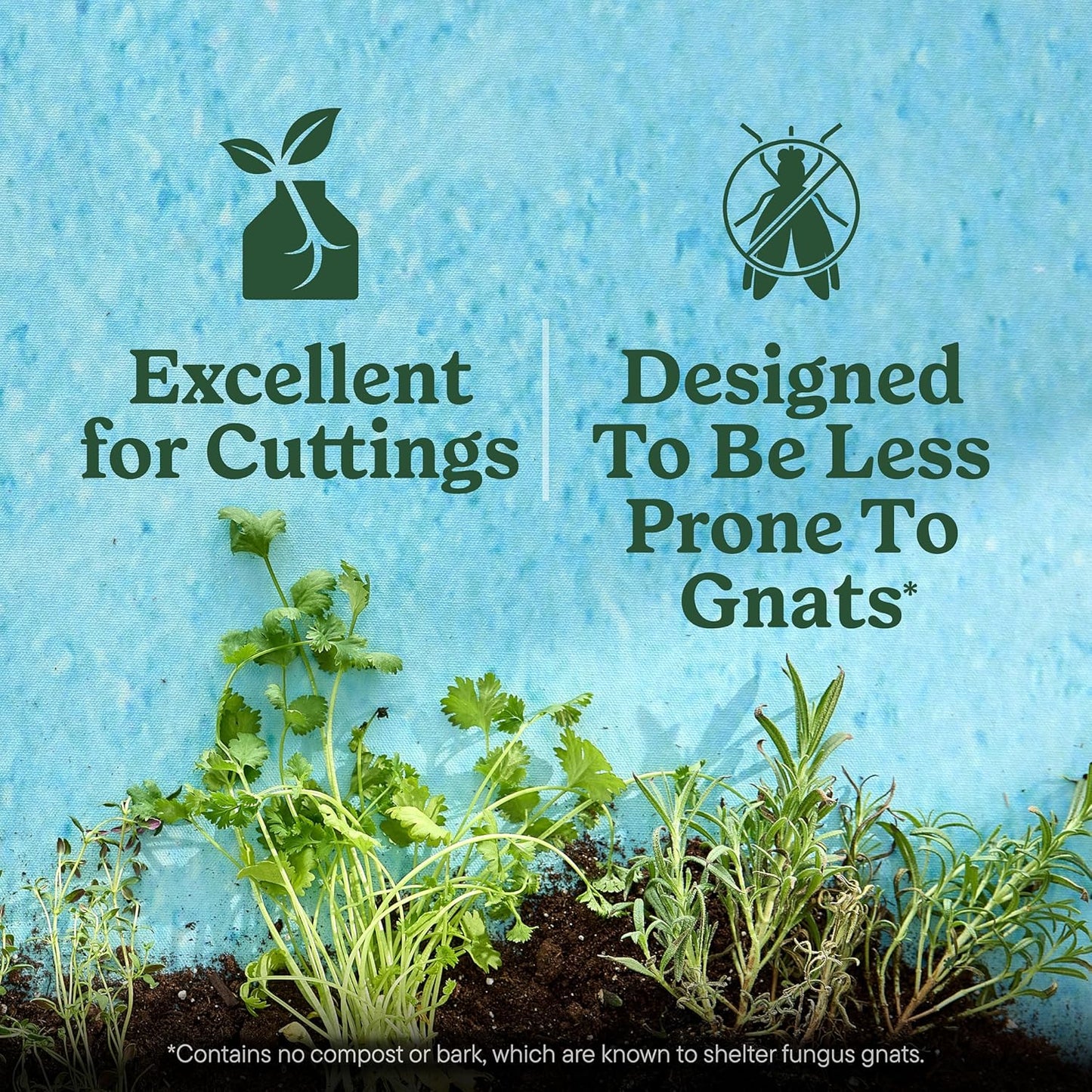 Miracle-Gro Indoor Potting Mix - Ideal for Seed Starting & Cuttings | 8 Qt. (2-Pack)