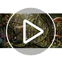 Janinka 6 Pcs 118in Artificial Bendable Tree Branches with Moss - Flexible Garden Decor