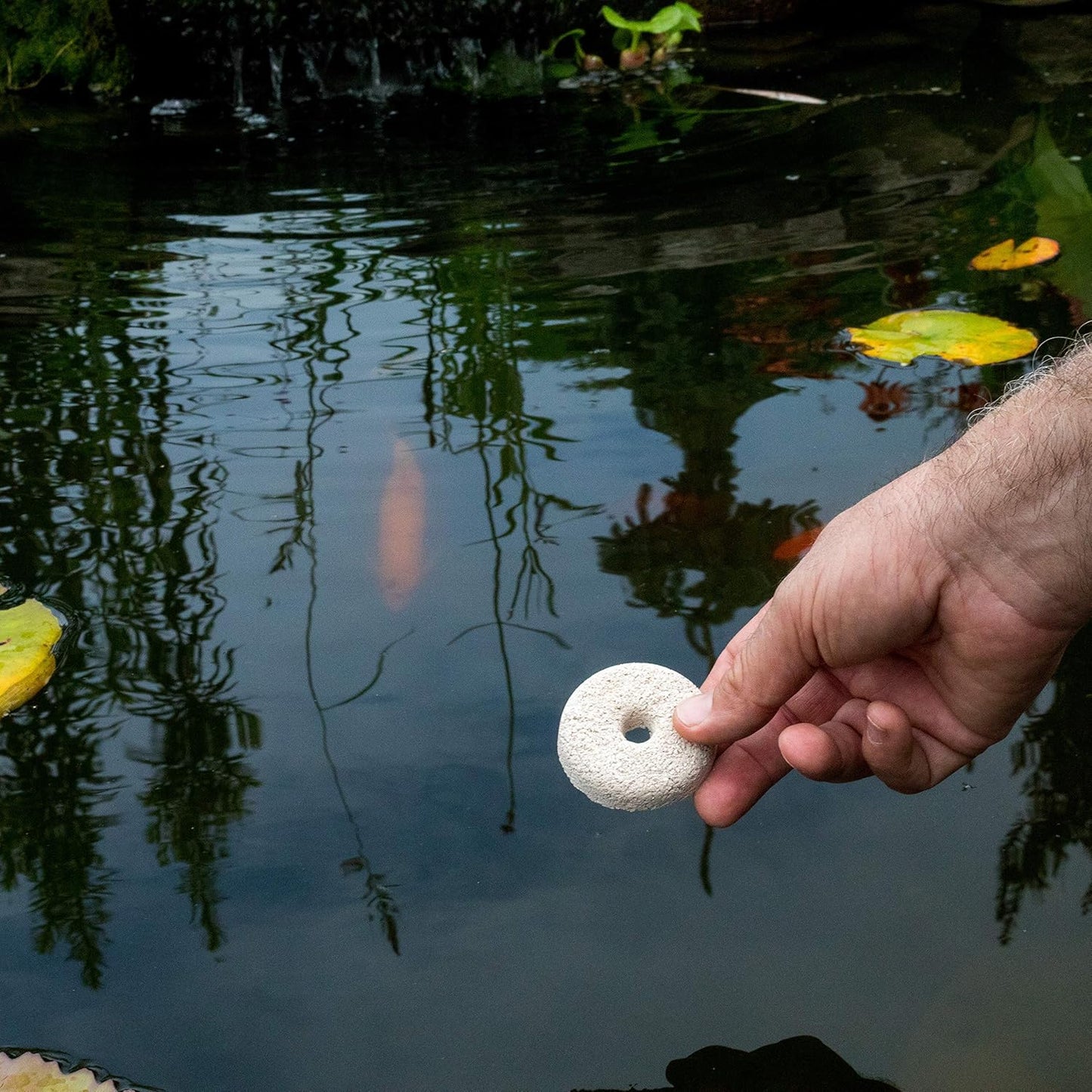 Summit 100 Count Mosquito Dunk - Natural, Eco-Friendly Solution for Mosquito Control