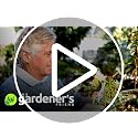 Heavy Duty Ratchet Pruning Shears - Anvil Garden Clippers for Branches & Stems