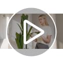 OAKRED 6ft Artificial Dracaena Tree with White Planter – Realistic Faux Indoor Plant for Home & Office Decor