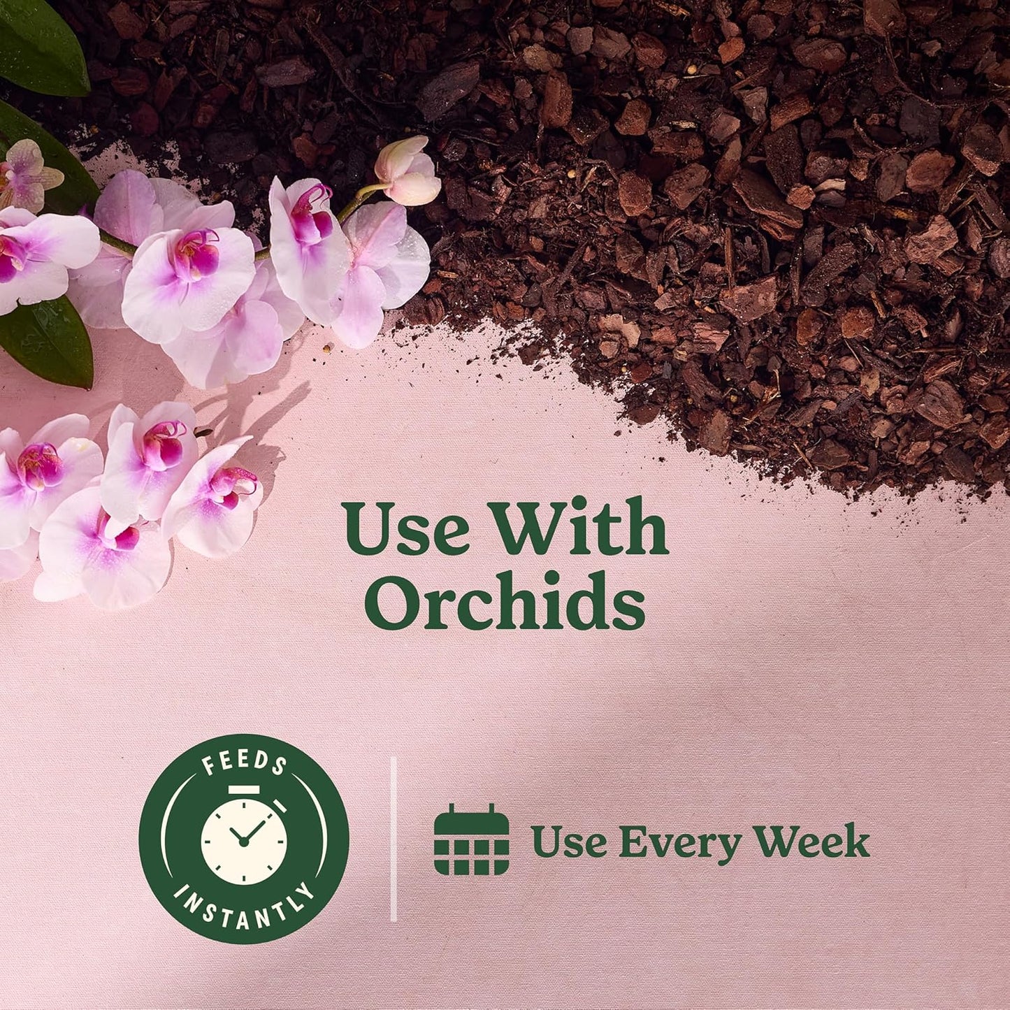 Miracle-Gro Orchid Plant Food Mist - Nourishing Indoor Plant Food, 8 fl. oz. (3-Pack)