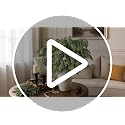 12 Pcs 36-Inch Lifelike Artificial Norfolk Pine Branches for Vase Decor - GLIDLION