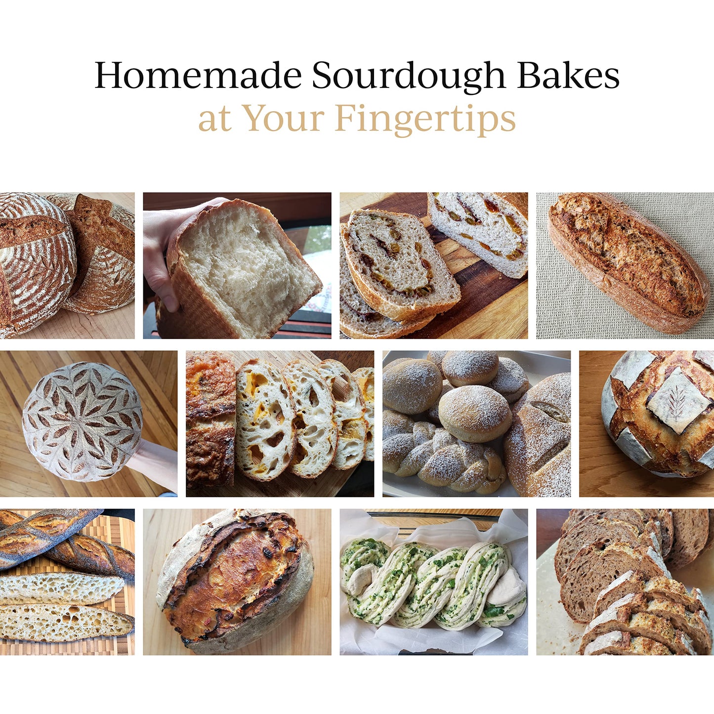 Breadtopia Live Sourdough Starter | Organic Non-GMO Ingredients | Active & Ready to Go | It's Alive - Must be Fed Immediately on Delivery