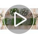 Suncalla 120 Pcs Italian Ruscus Artificial Greenery Stems Bulk for DIY Decor