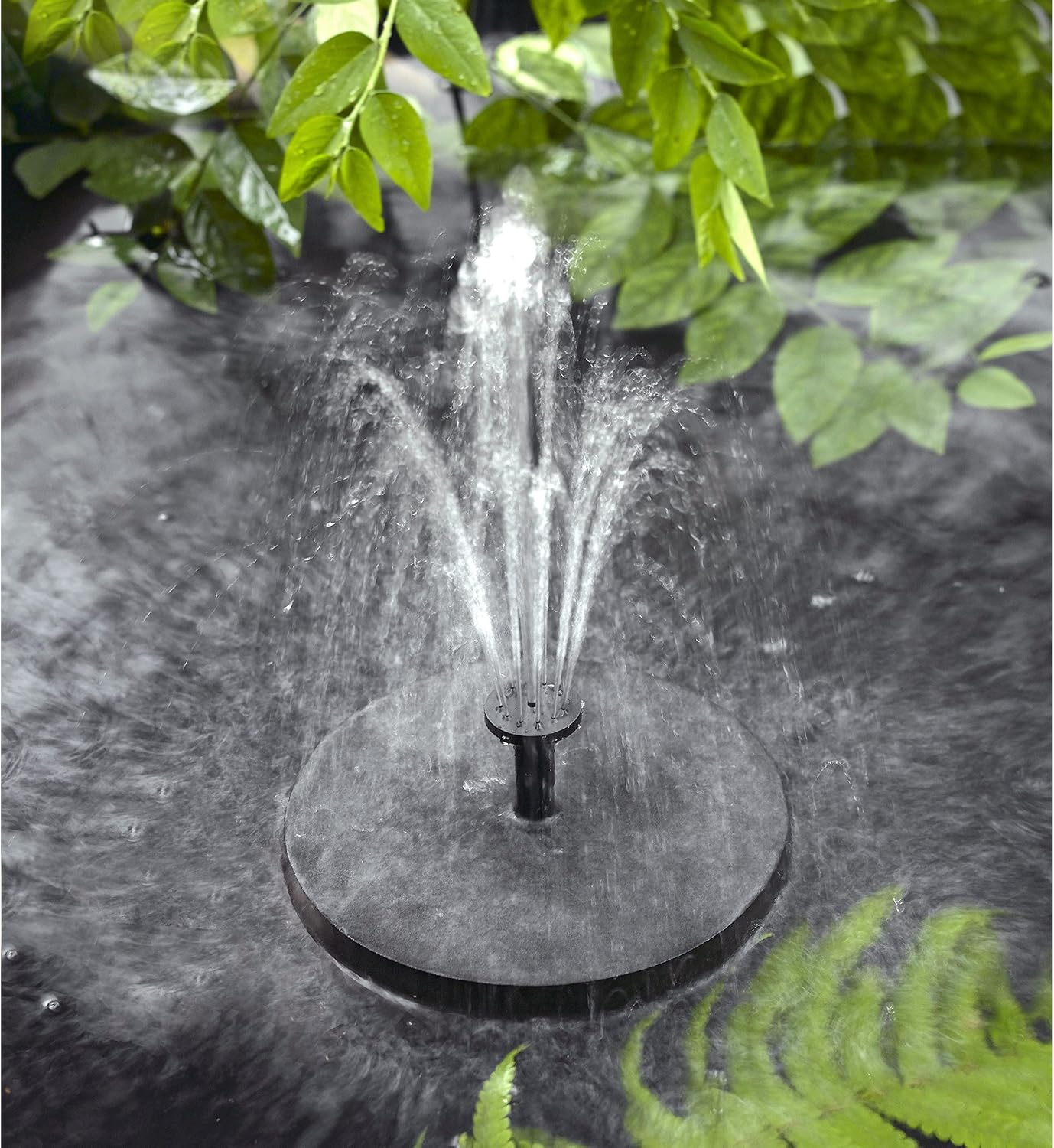Solatec Solar Powered Fountain Pump - 1.4W Outdoor Bird Bath Water Pump for Garden & Pond
