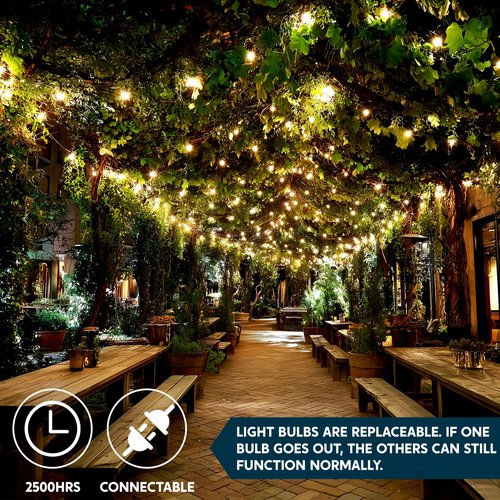 Joiedomi Clear Christmas String Lights Indoor,100 Count Mini White Fairy Light Outdoor,19.4 FT Decor for Patio Dorm Classroom Bedroom Holiday Wedding Party Garland Birthday Festival,Green Wire