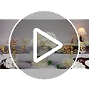 Ivory Hydrangea Artificial Flowers Bulk - 64 Pcs Silk Blooms for DIY Decor