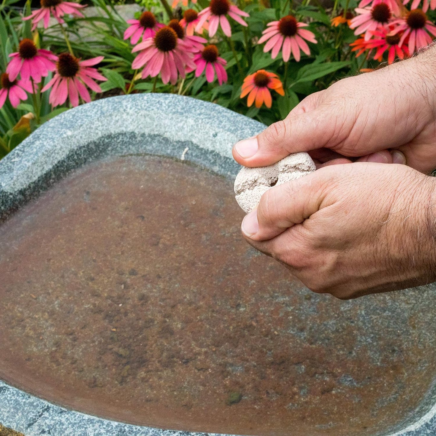 Summit 100 Count Mosquito Dunk - Natural, Eco-Friendly Solution for Mosquito Control