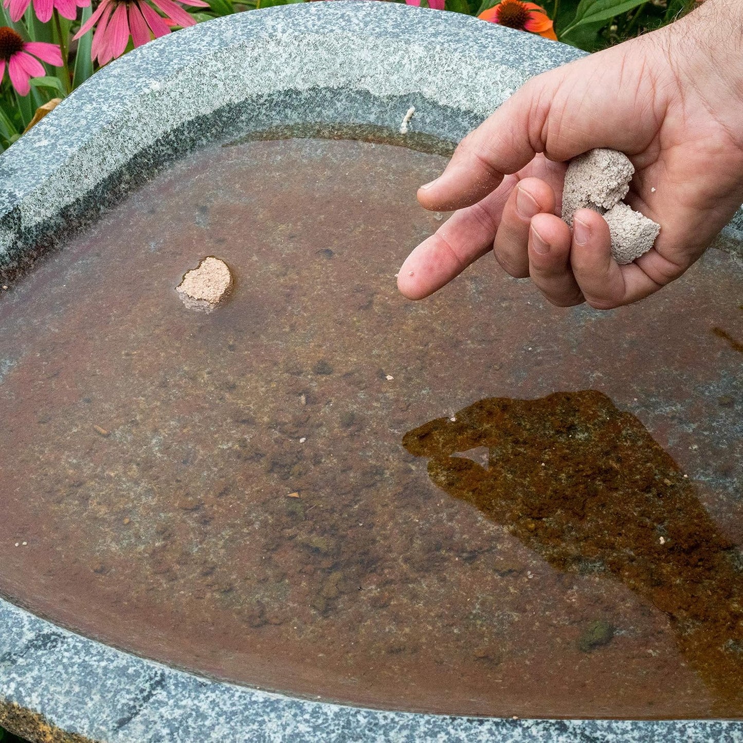 Summit 100 Count Mosquito Dunk - Natural, Eco-Friendly Solution for Mosquito Control