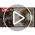 National Tree Company 3ft Pre-Lit Glittery Bristle Mini Christmas Tree