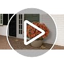 Artificial Fall Azalea Topiary Trees - 2 Pack, Orange, 16.5 Inch Outdoor Decor