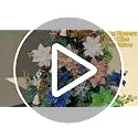 Christmas Flowers, Tree Flowers 20pcs Glitter Poinsettia Champagne