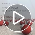 Molekule PECO-HEPA Tri-Power Filter for Mini & Mini+ Air Purifier (Medium Pack of 1)