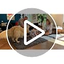 8x10 Ft Large Machine Washable Area Rug for Living Room & Bedroom - Grey, Soft Shaggy Floor Carpet