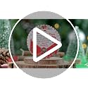 Dear Santa Paws Dog Ornament 2025 | Puppy First Christmas Ornament – Santa 3 Edition