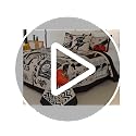 Cmfshape Halloween King Size Bedspread Set - Black Quilt with Pumpkin Ghosts, 4-Piece Bedding with Pillows