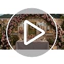 Pink and Gold Disposable Plates Set for Wedding & Party - 50 Guests - Variation of THIS listing