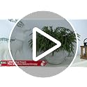 24 Pcs Artificial Christmas Pine Branches - Natural Droopy, Lush & Bendable Holiday Decor