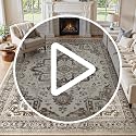 Jessibou Dark Brown 8x10 Washable Area Rug for Living Room